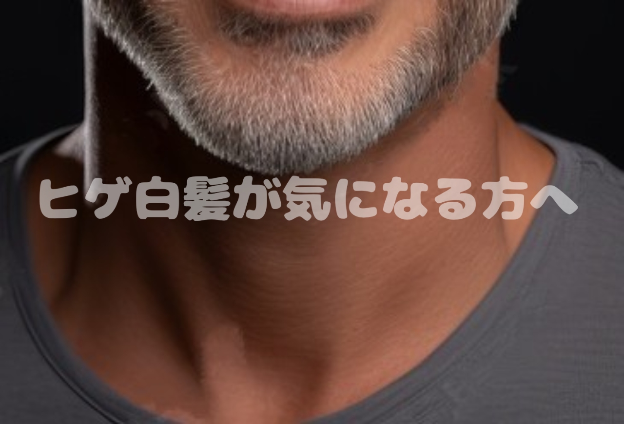 画像の説明