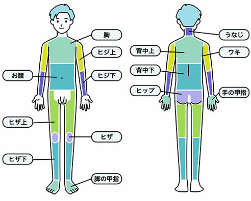 胸毛、背中、すね毛などの脱毛